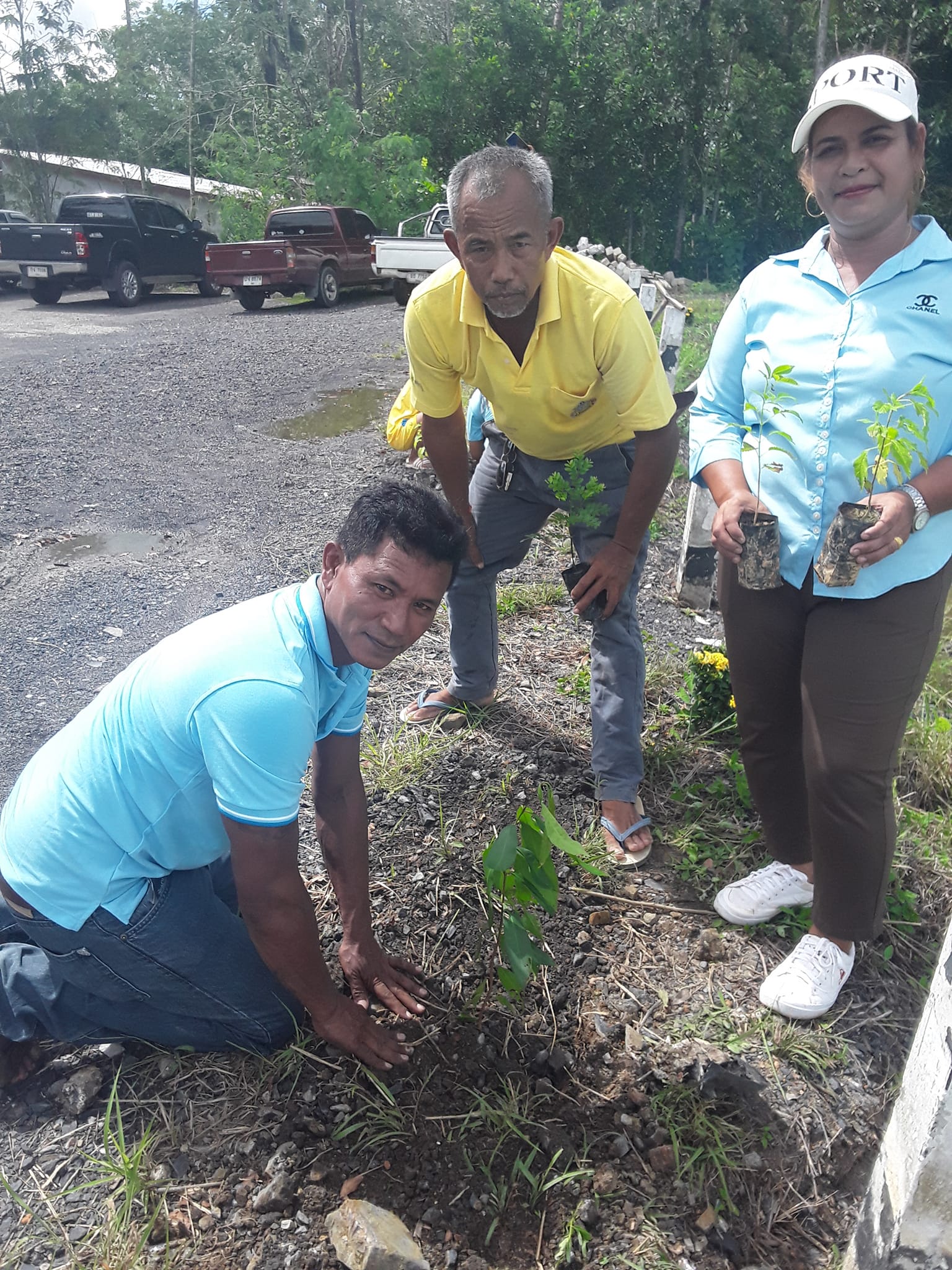 โชคปรเมศร์ขนส่งเข้าร่วมโครงการปลูกต้นไม้เฉลิมพระเกียรติวันแม่ ปี 2566